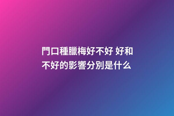 門口種臘梅好不好 好和不好的影響分別是什么